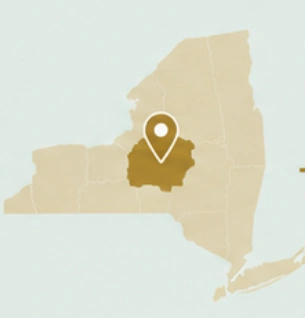 New York State map from V2 illustration